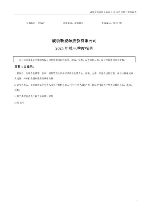 ST威领：威领股份2025年第三季度报告（更正后）.PDF