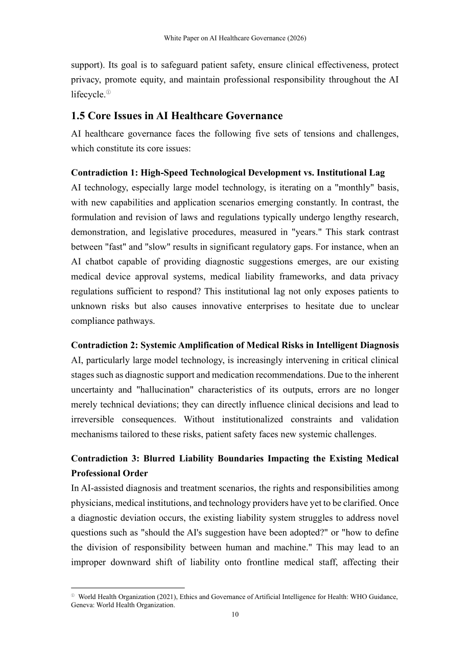 上海社会科学院：AI 医疗治理白皮书（2026）（英文版）（64页）.pdf_第13页