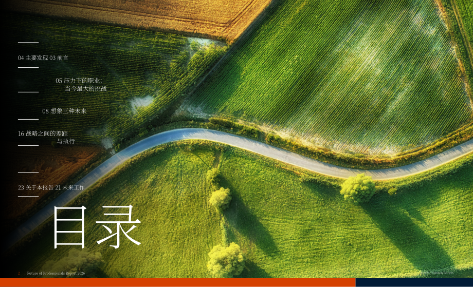 汤森路透：2026年专业人士前景报告：当 AI 战略⽌步于规划-专业⼈⼠⾯临的新压⼒（英文版）（24页）.pdf_第2页
