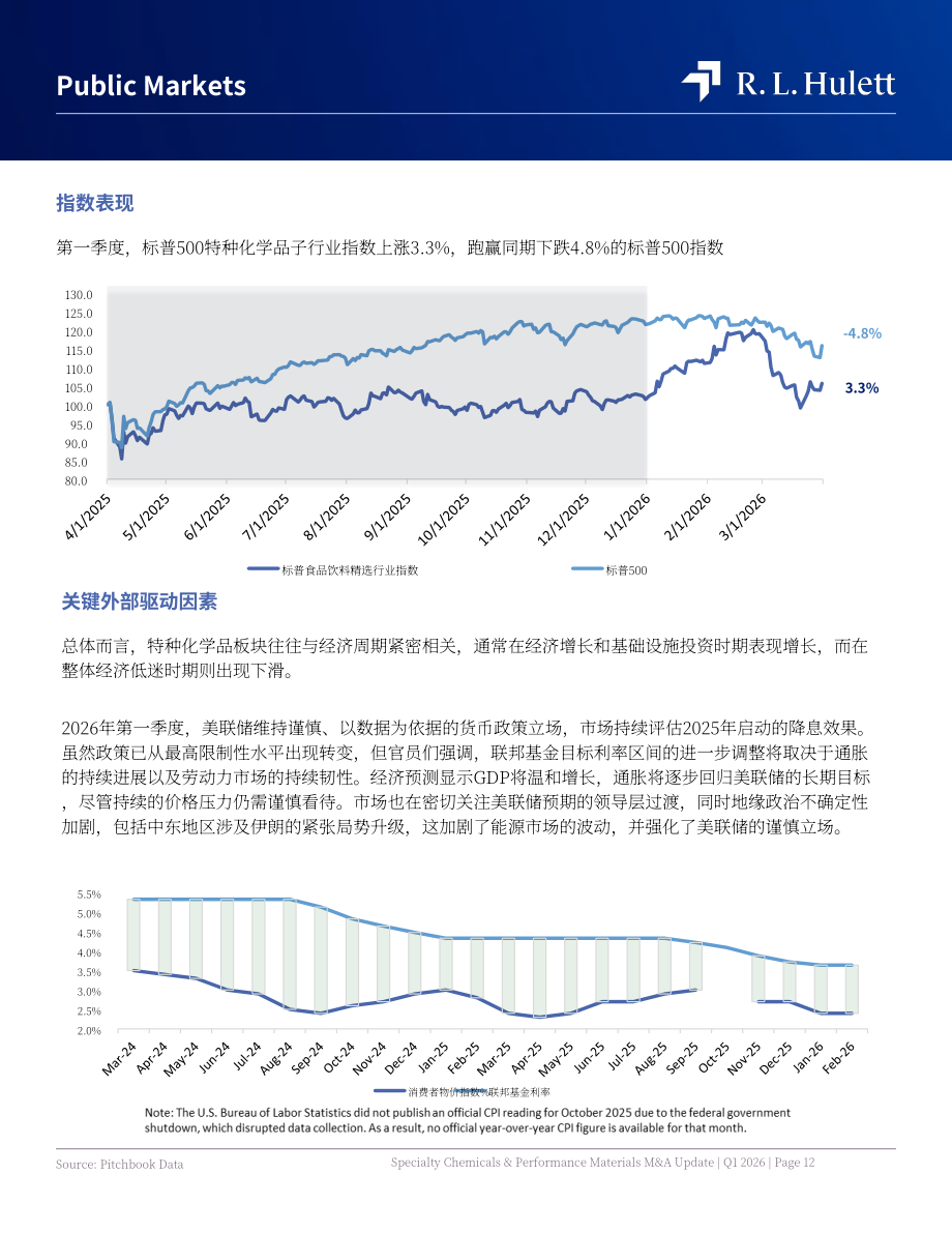 RL Hulett：2026年第一季度全球特种化学品与高性能材料行业并购市场研究报告（英文版）（22页）.pdf_第12页