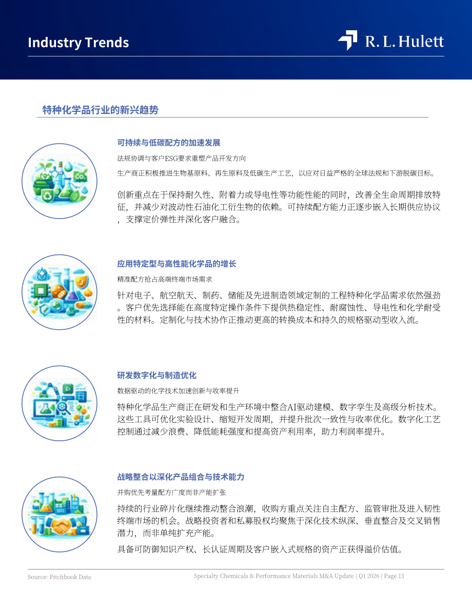 RL Hulett：2026年第一季度全球特种化学品与高性能材料行业并购市场研究报告（英文版）（22页）.pdf_第13页