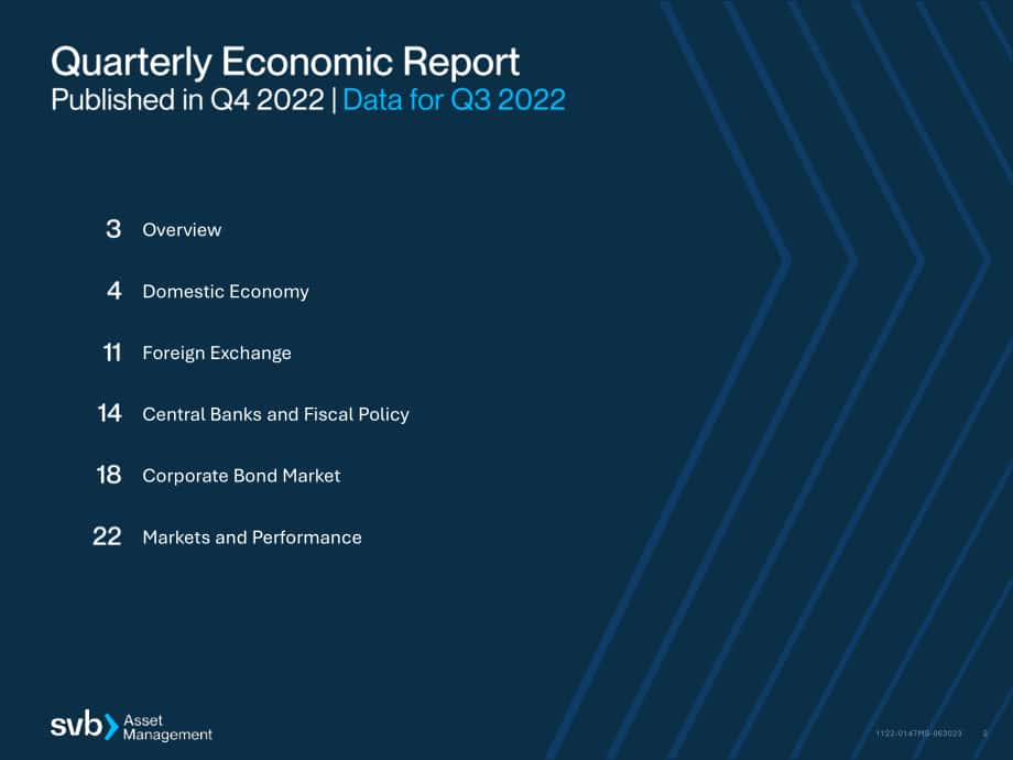 硅谷银行（SVB）：2022年第四季度全球经济报告（英文版）（29页）.pdf_第2页