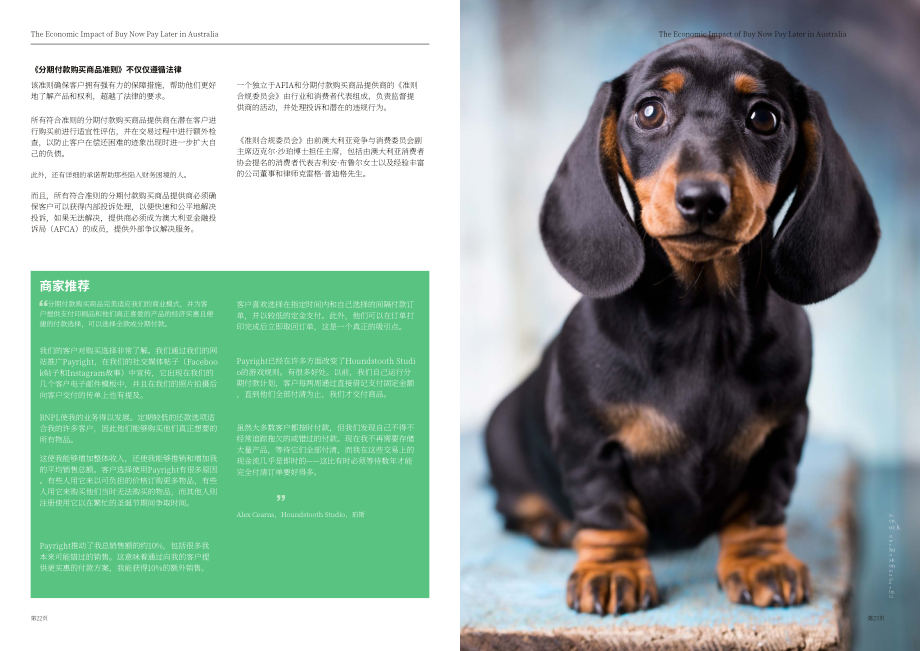 RFI Global &牛津经济研究院：先买后付（BNPL）在澳大利亚的经济影响（2022）（英文版）（31页）.pdf_第12页