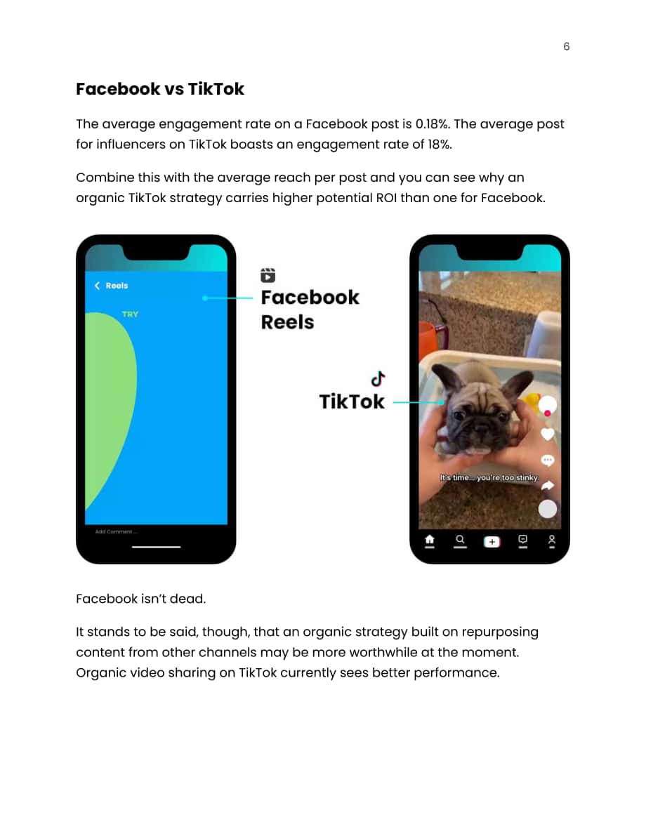 Common Thread：2022年TikTok电子商务指南（英文版）（31页）.pdf_第6页