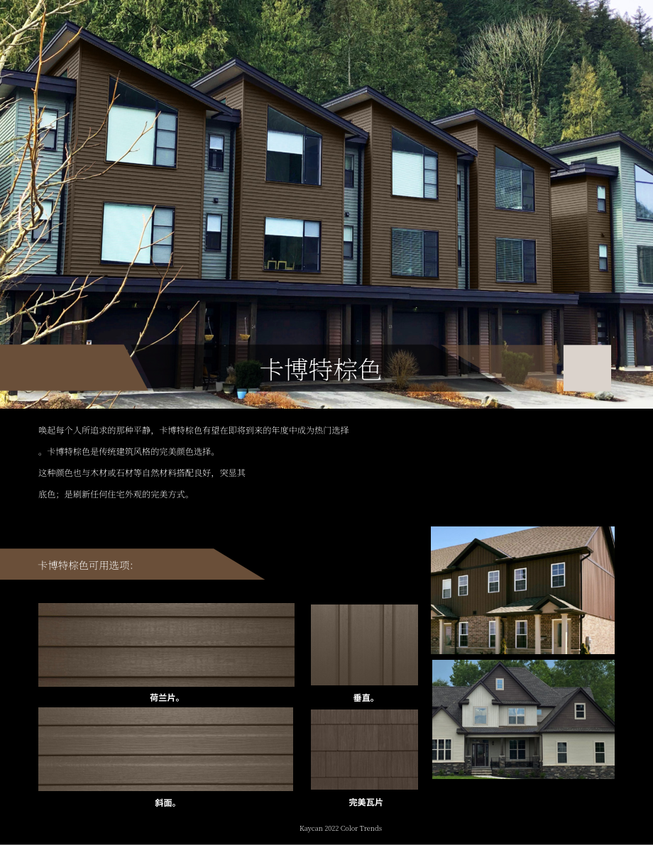 Kaycan：2022年全球住宅外墙流行色彩趋势报告（英文版）（14页）.pdf_第5页