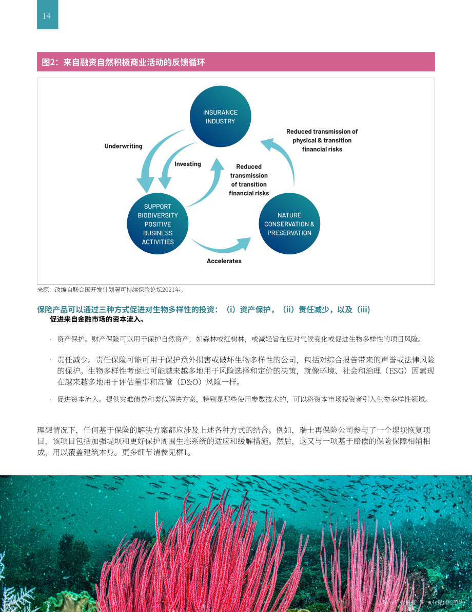 世界银行集团（WBG）：自然生态保护-保险在满足保护生物多样性的资金需求中的作用（英文版）（34页）.pdf_第14页