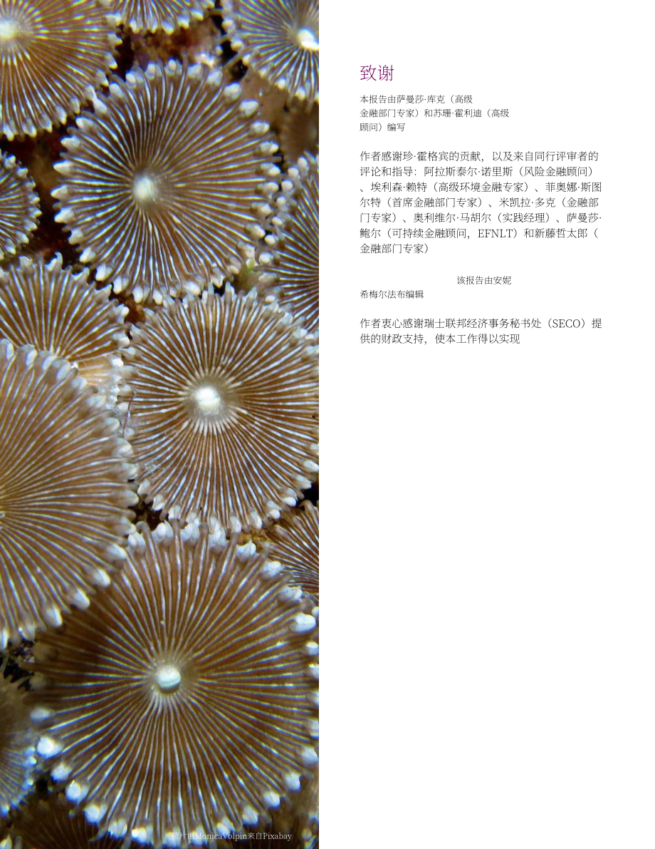 世界银行集团（WBG）：自然生态保护-保险在满足保护生物多样性的资金需求中的作用（英文版）（34页）.pdf_第3页