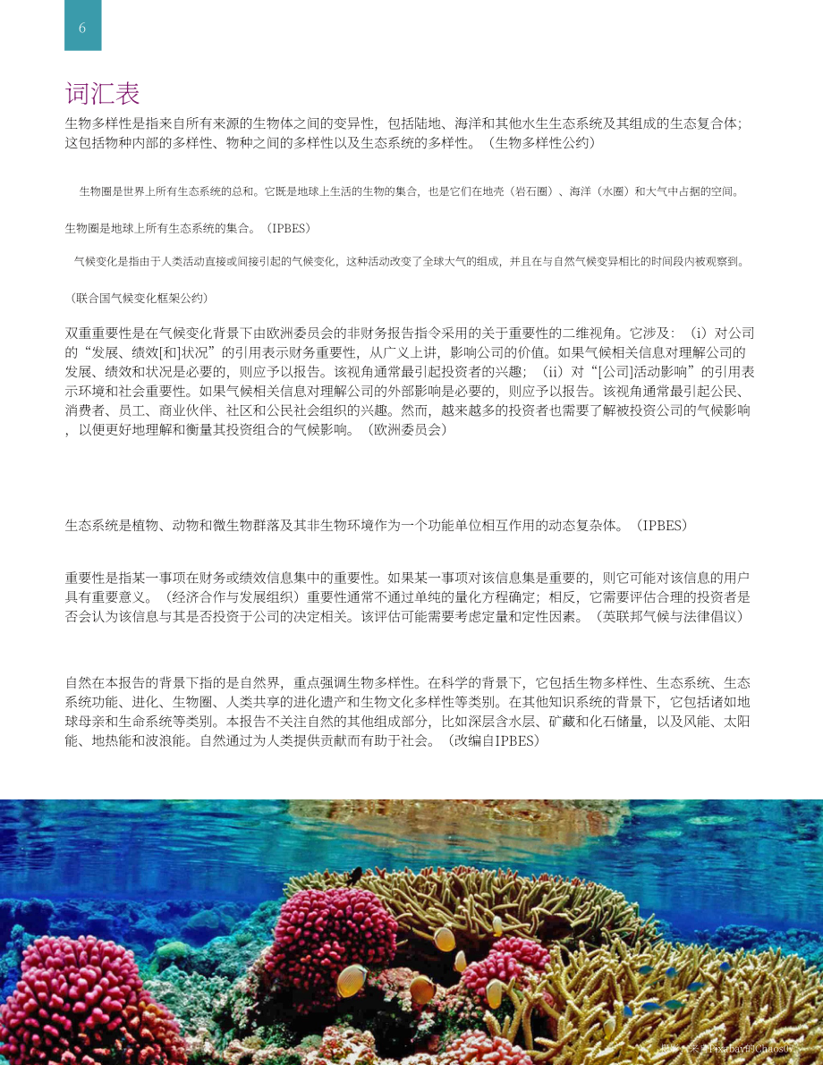 世界银行集团（WBG）：自然生态保护-保险在满足保护生物多样性的资金需求中的作用（英文版）（34页）.pdf_第6页