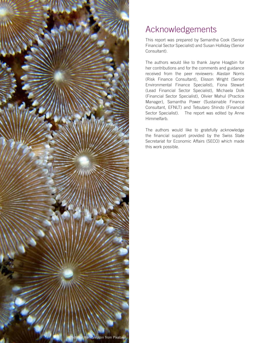 世界银行集团（WBG）：自然生态保护-保险在满足保护生物多样性的资金需求中的作用（英文版）（34页）.pdf_第3页