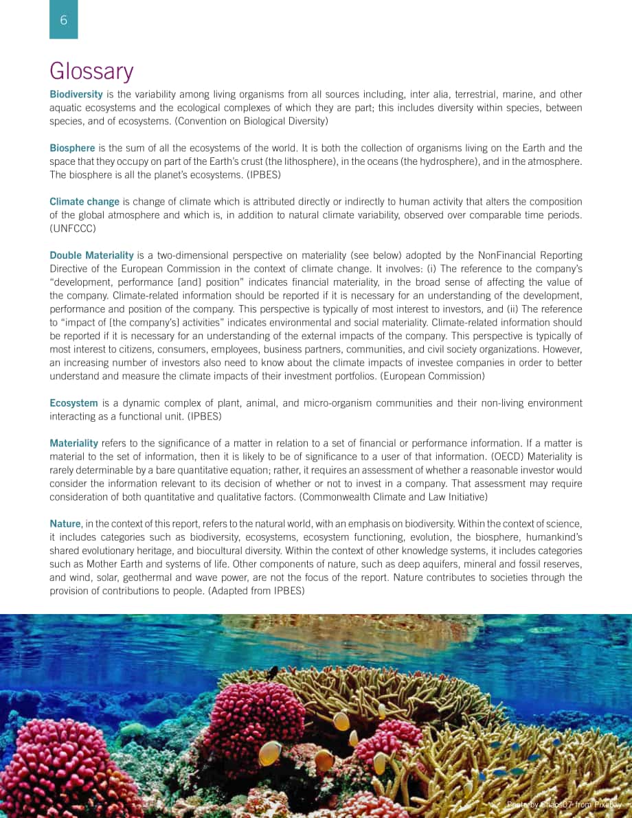 世界银行集团（WBG）：自然生态保护-保险在满足保护生物多样性的资金需求中的作用（英文版）（34页）.pdf_第6页