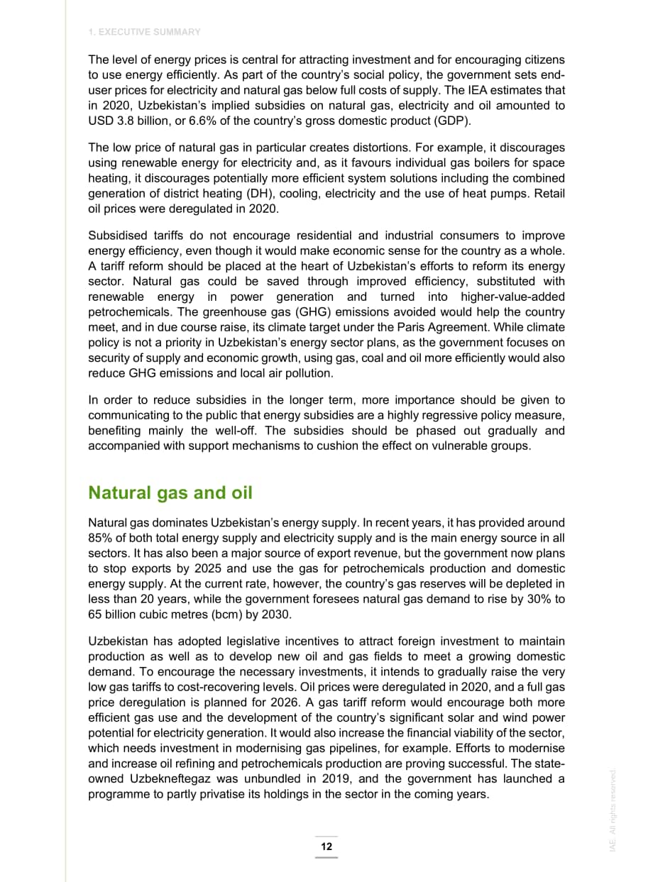 国际能源署（IEA）：2022年乌兹别克斯坦能源政策评述报告（英文版）（154页）.pdf_第11页