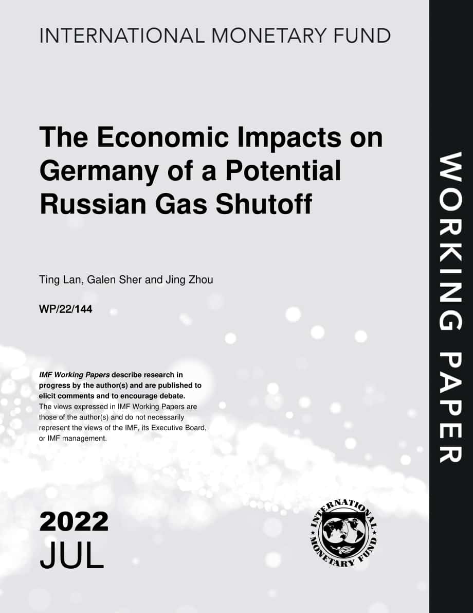 国际货币基金组织（IMF）：俄罗斯天然气供应的不确定性对德国的经济影响（英文版）（31页）.pdf_第1页