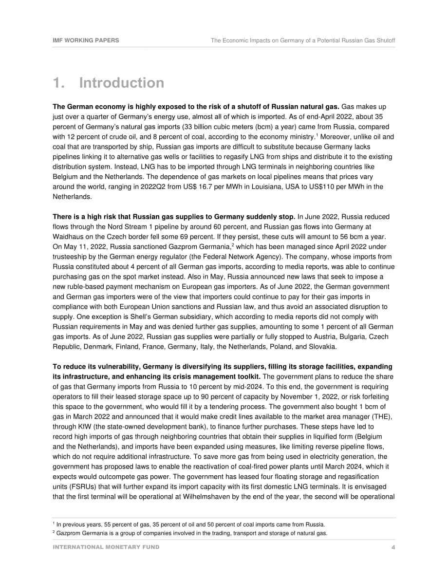 国际货币基金组织（IMF）：俄罗斯天然气供应的不确定性对德国的经济影响（英文版）（31页）.pdf_第4页