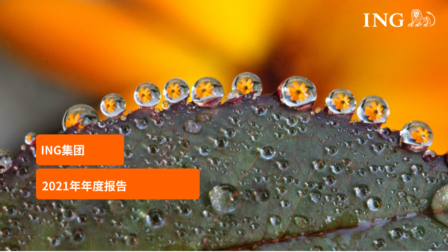 荷兰国际集团（ING GROUP）2021年年度报告（英文版）（436页）.pdf_第1页