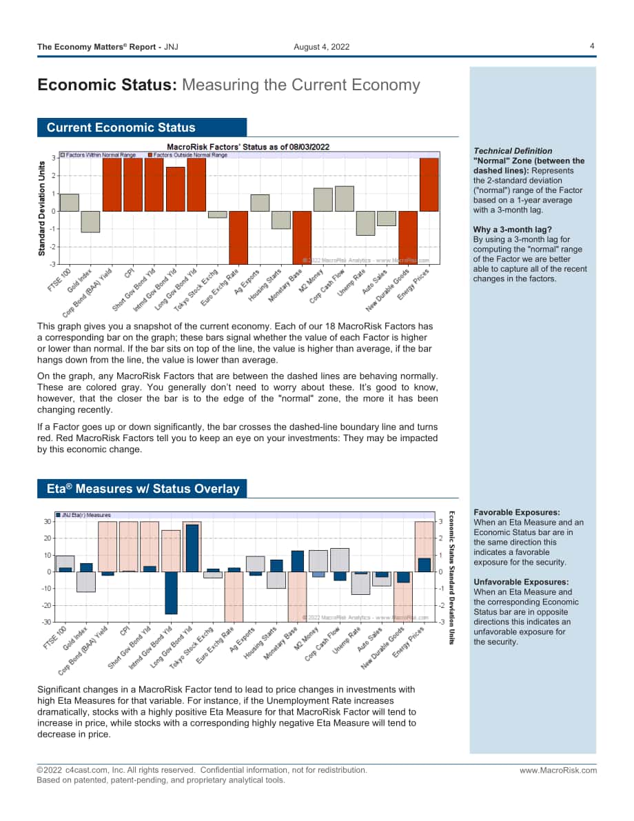 Macro Risk：经济对强生公司的重要性（英文版）（8页）.pdf_第4页