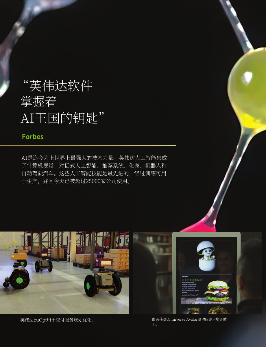 英伟达NVIDIA (NVDA)2022财年年度报告（英文版）（207页）.pdf_第8页