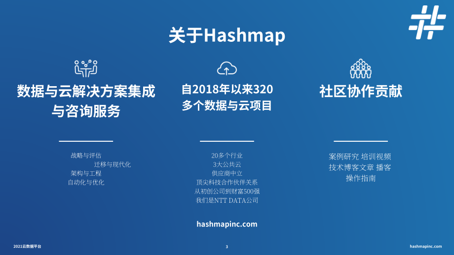 HashMap：2021年云数据平台分析与基准测试报告（英文版）（77页）.pdf_第3页