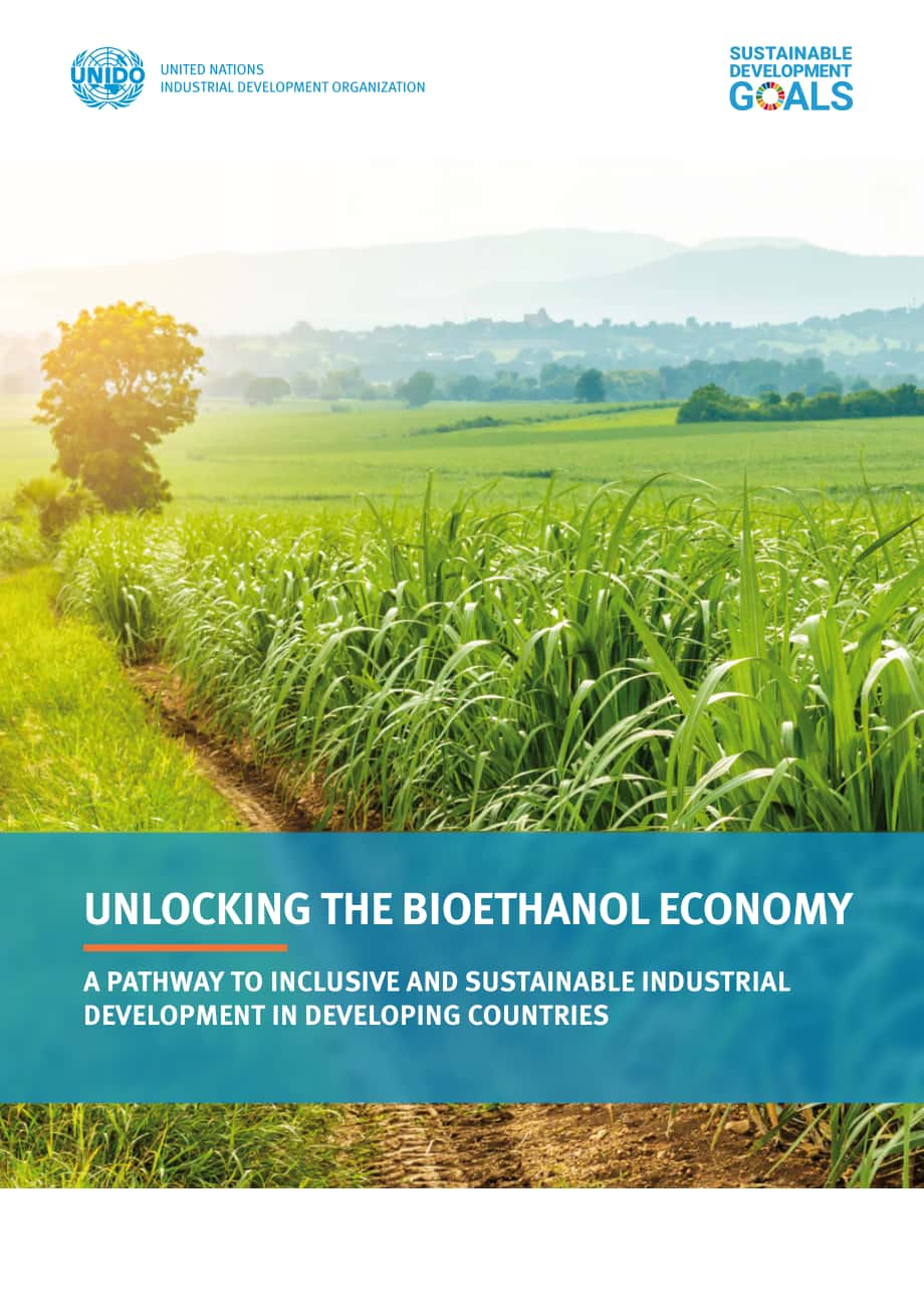 联合国工业发展组织（UNIDO）：2022年生物乙醇经济报告-发展中国包容与可持续工业发展实施路径（英文版）（88页）.pdf_第1页