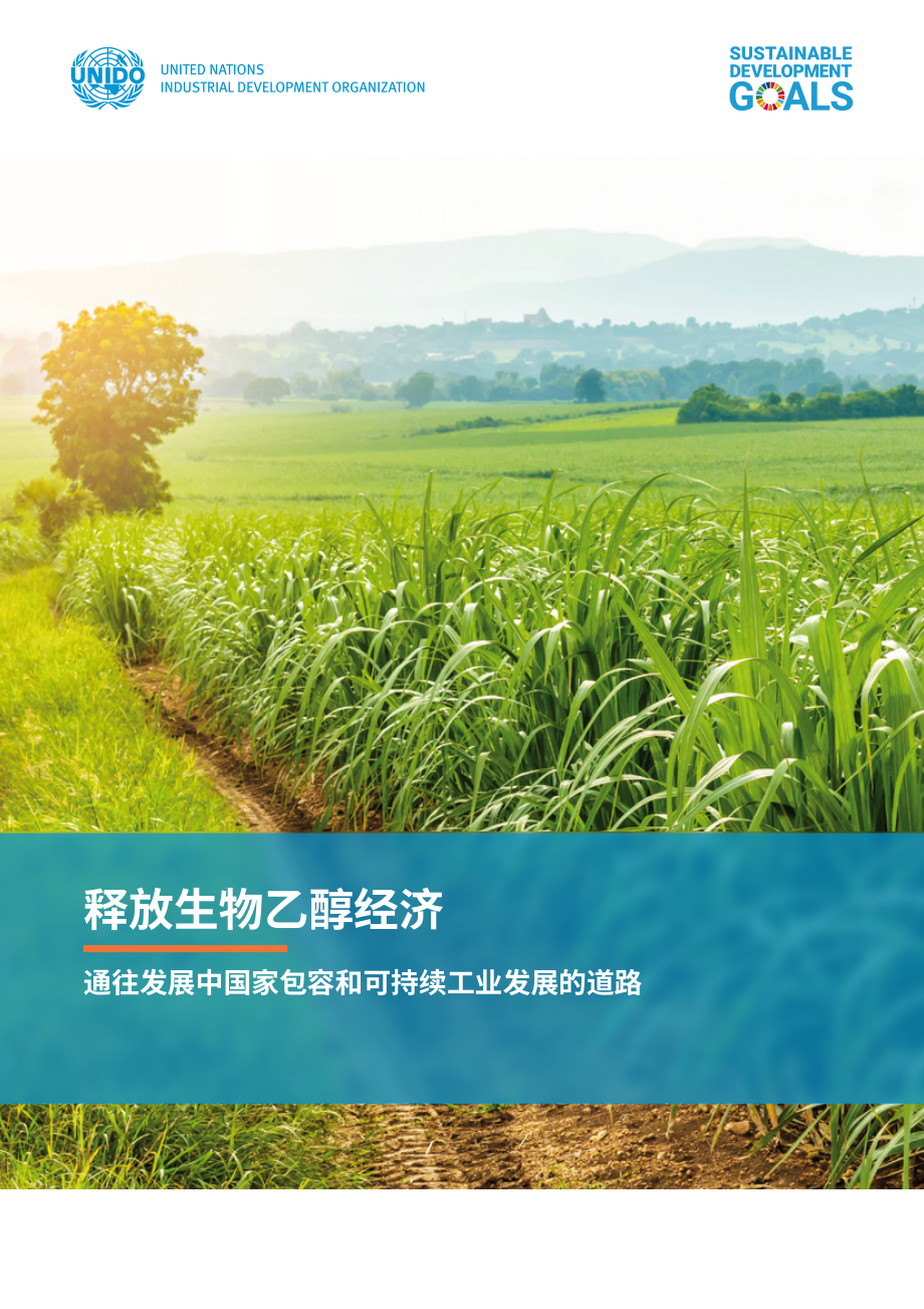 联合国工业发展组织（UNIDO）：2022年生物乙醇经济报告-发展中国包容与可持续工业发展实施路径（英文版）（88页）.pdf_第1页