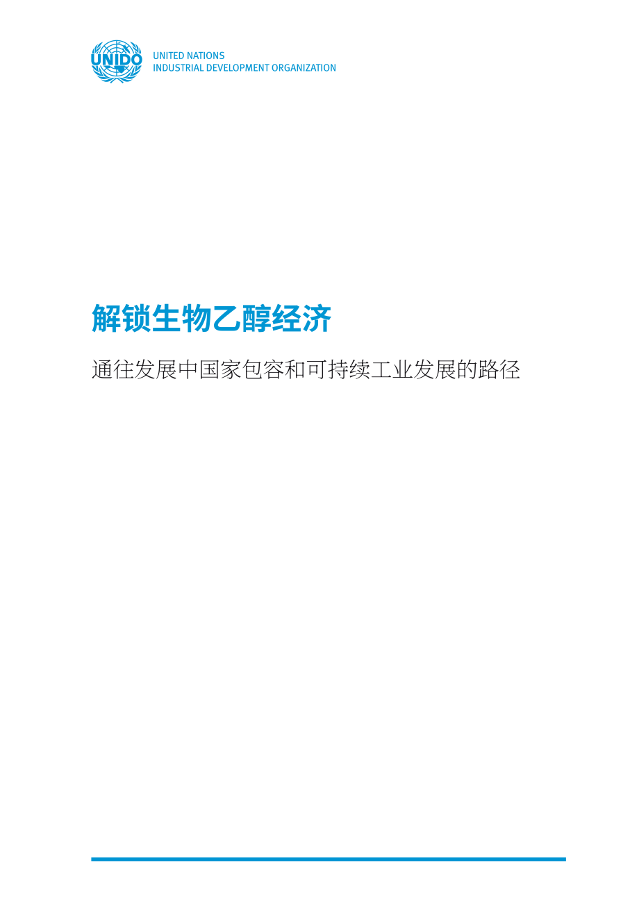 联合国工业发展组织（UNIDO）：2022年生物乙醇经济报告-发展中国包容与可持续工业发展实施路径（英文版）（88页）.pdf_第3页