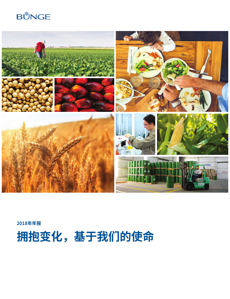 邦吉公司（BUNGE）2018年年度报告（英文版）（118页）.pdf_第1页