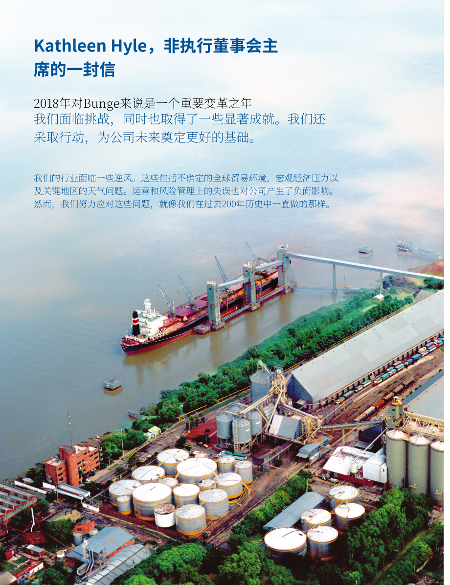 邦吉公司（BUNGE）2018年年度报告（英文版）（118页）.pdf_第2页