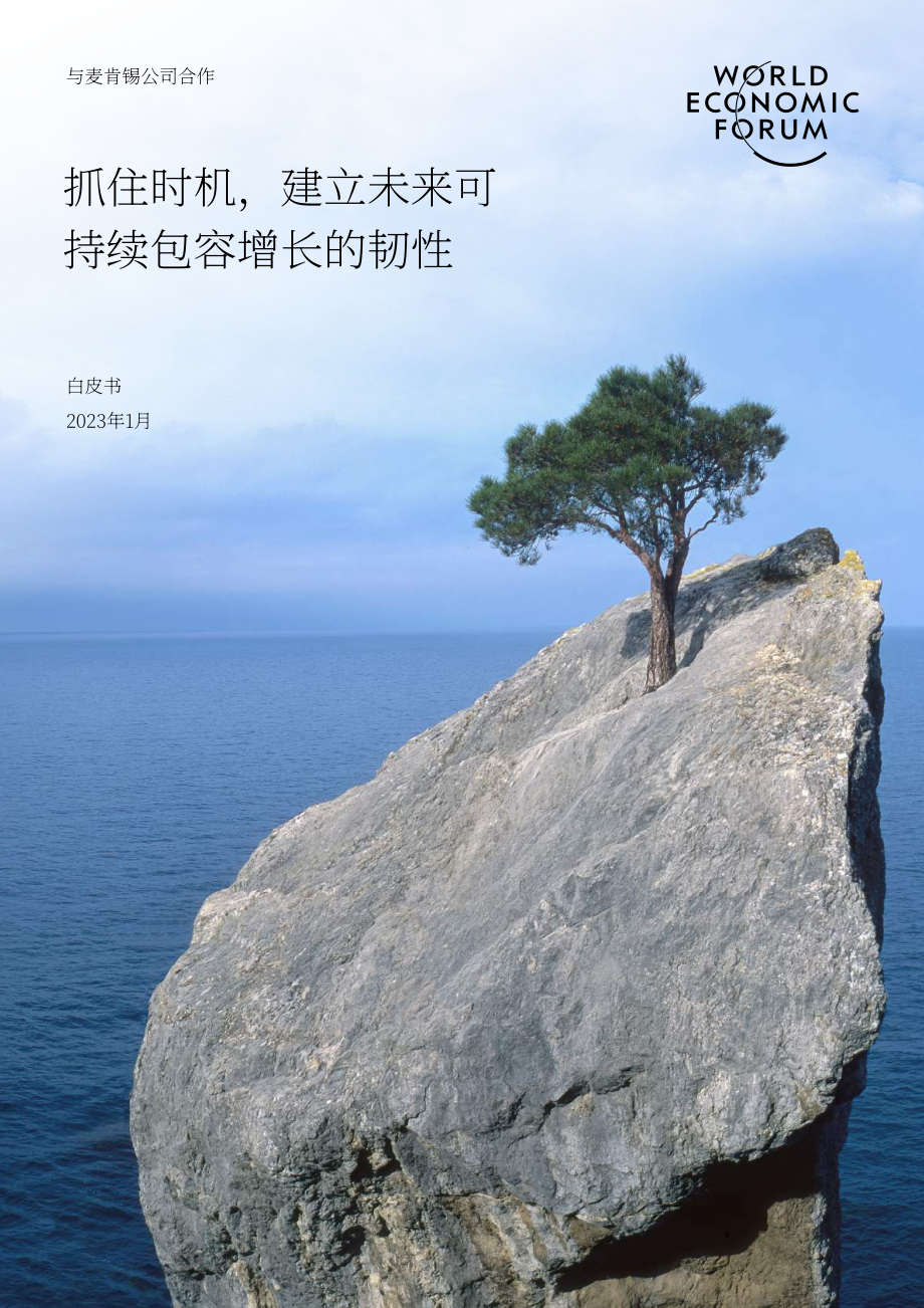 世界经济论坛：抓住势头为可持续包容性增长的未来建立韧性（英文版）（40页）.pdf_第1页