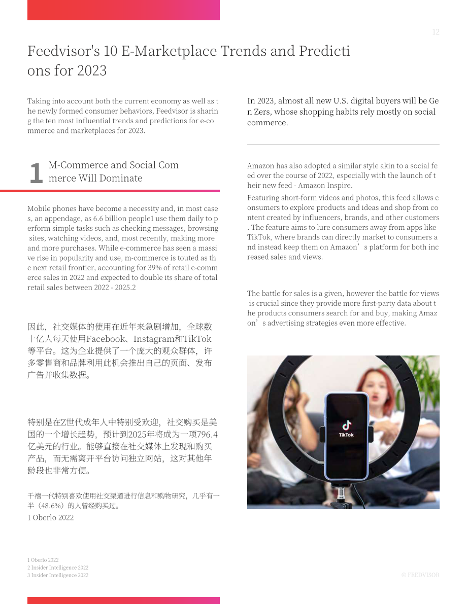 Feedvisor：2023年电子商务和市场趋势和预测报告（英文版）（23页）.pdf_第12页