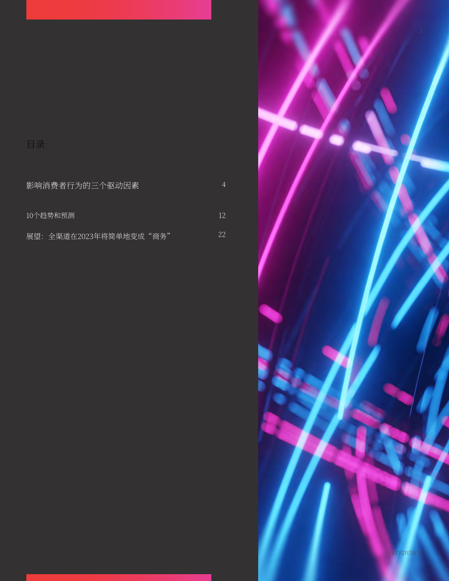 Feedvisor：2023年电子商务和市场趋势和预测报告（英文版）（23页）.pdf_第3页