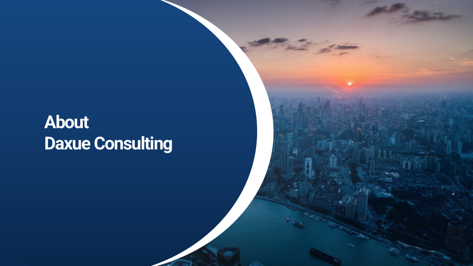 Daxue Consulting：2023新加坡-中国商业关系研究报告（英文版）（21页）.pdf_第13页