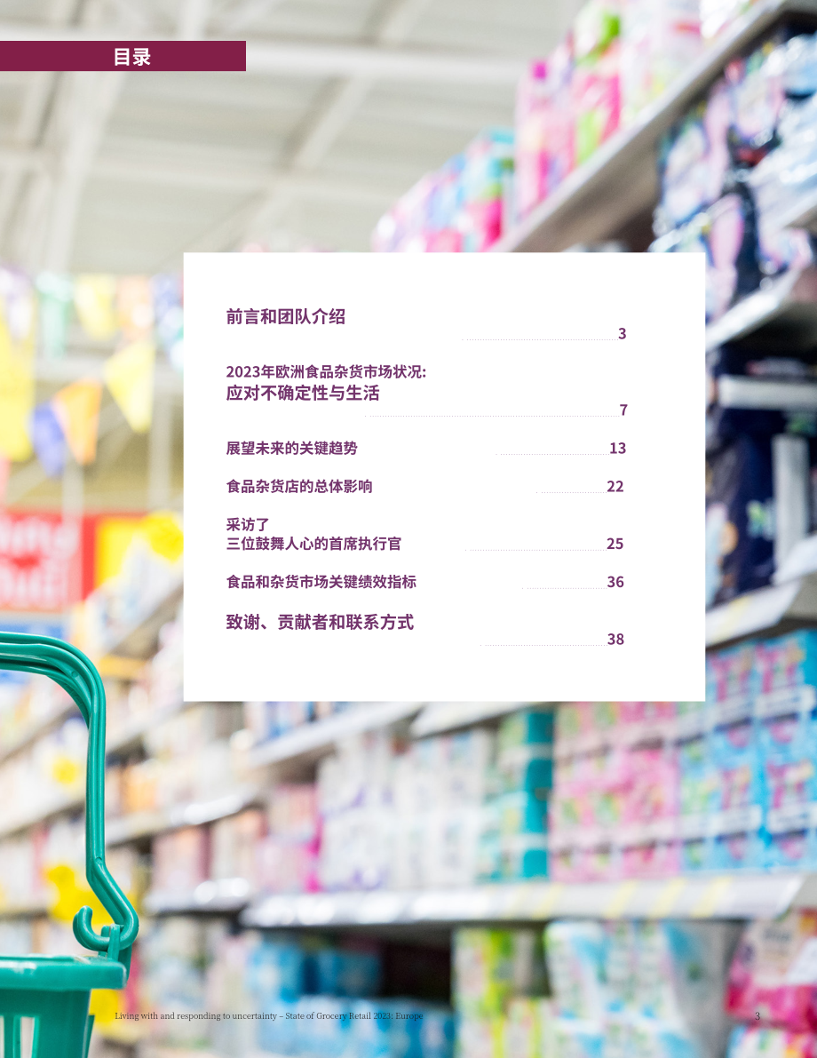 麦肯锡&ampEuroCommerce ：2023年欧洲食杂零售市场现状报告（英文版）（40页）.pdf_第3页